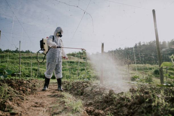 Best Pest Prevention Services  in Clifton Forge, VA