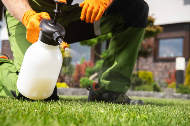 Best Best Pest Control Companies  in Clifton Forge, VA