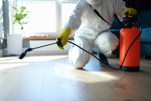Best Local Pest Control Services  in Clifton Forge, VA