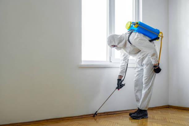  Clifton Forge, VA Pest Control Pros