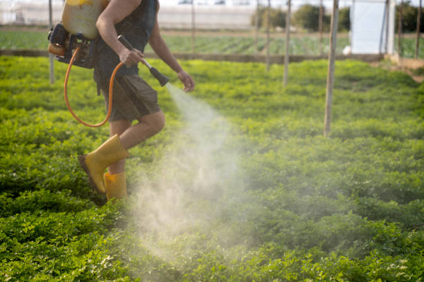 Best Best Pest Control Companies  in Clifton Forge, VA
