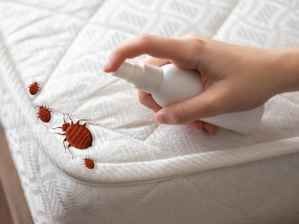 Best Commercial Pest Control Services  in Clifton Forge, VA