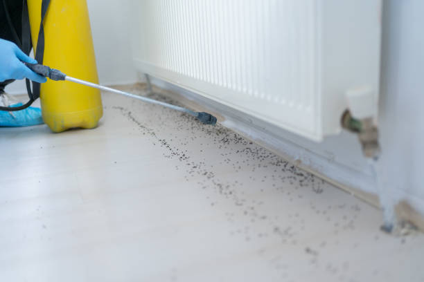 Best Pest Control for Restaurants  in Clifton Forge, VA